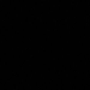 Meet your Posher, Jada